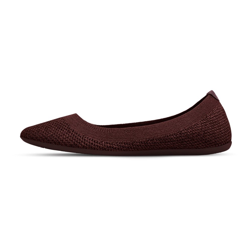 Allbirds Tree Breezers - Chaussures Plates Marron Femme | PVO-50941240