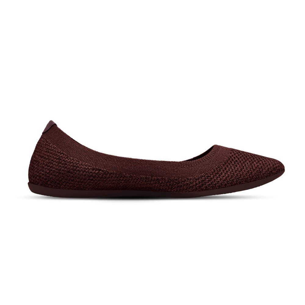 Allbirds Tree Breezers - Chaussures Plates Marron Femme | PVO-50941240