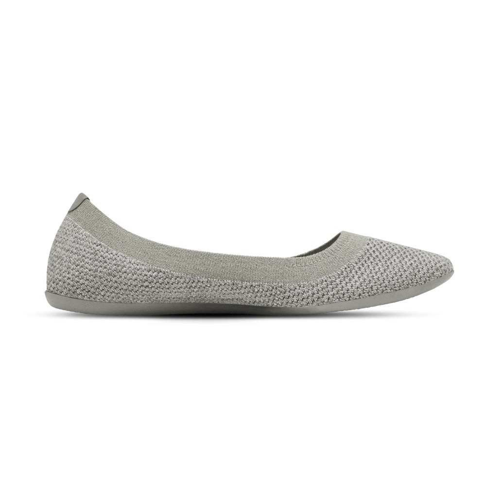 Allbirds Tree Breezers - Chaussures Plates Grise Femme | TUR-54140472