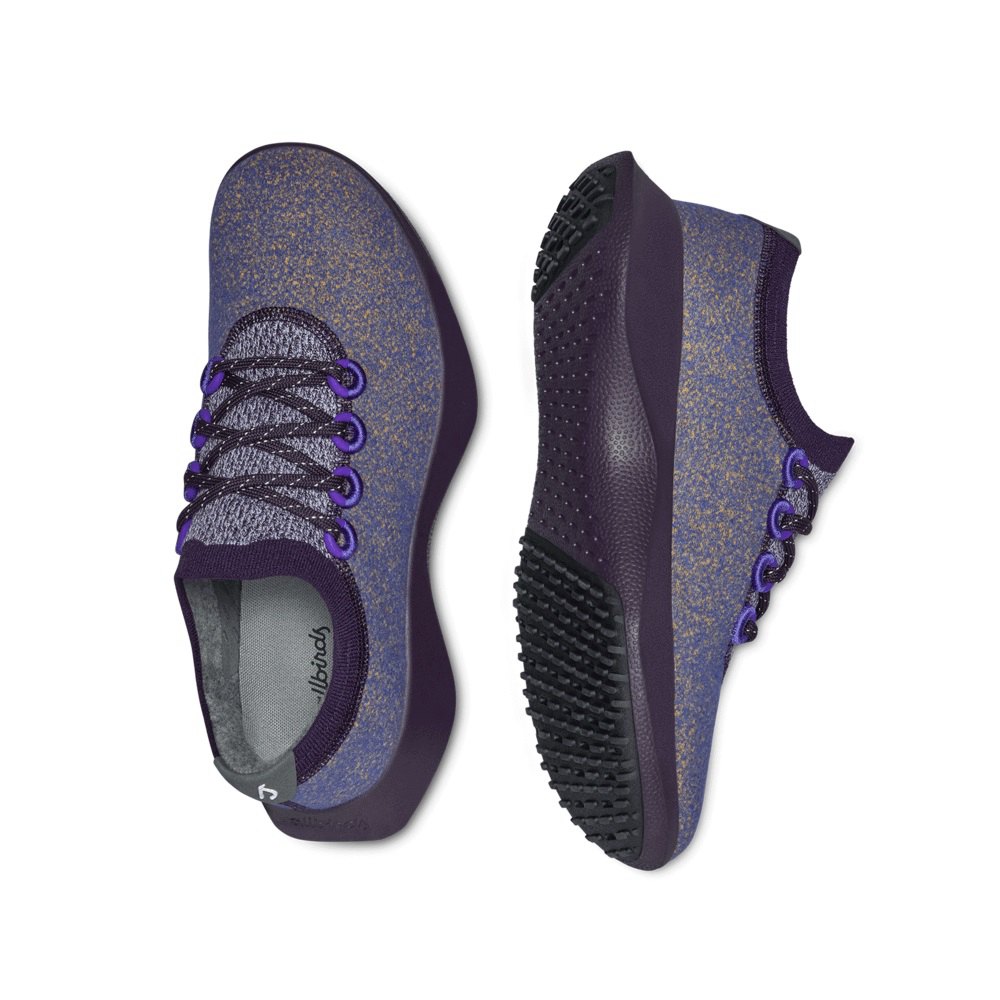 Allbirds Wool Dasher Mizzles - Chaussure Running Violette Homme | DSI-46326400