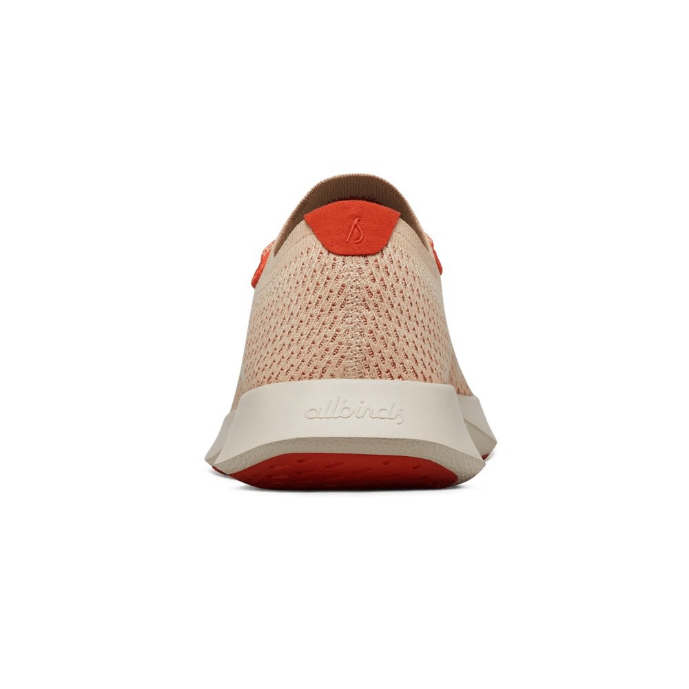 Allbirds Tree Dashers - Chaussure Running Rouge Homme | GYN-97150775