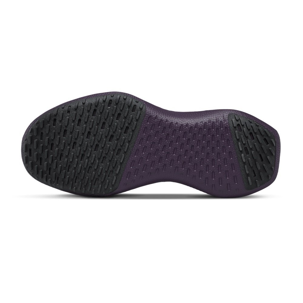 Allbirds Wool Dasher Mizzles - Chaussure Running Violette Homme | DSI-46326400