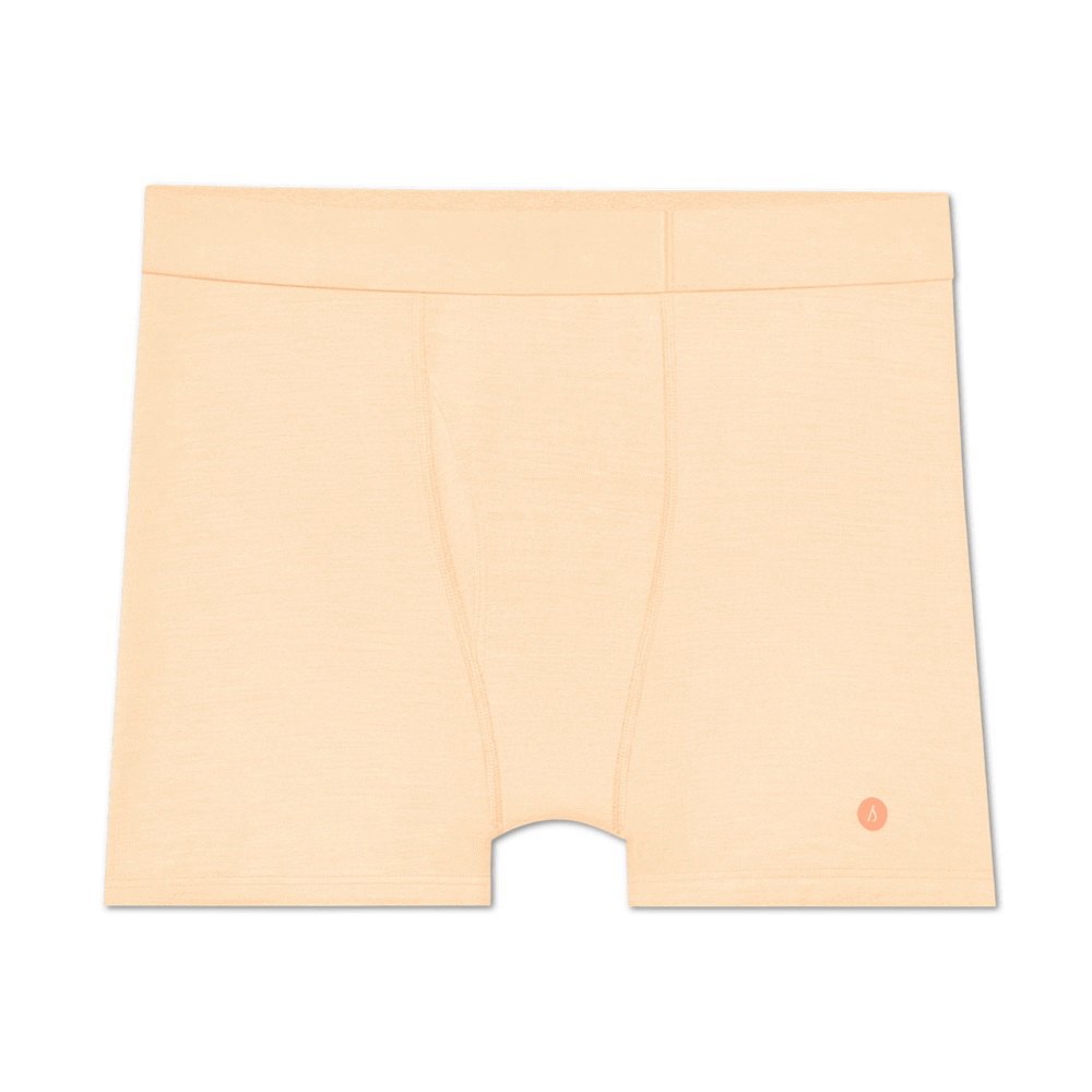 Allbirds Trino? Boxer - Slips Orange Homme | JUK-52959860