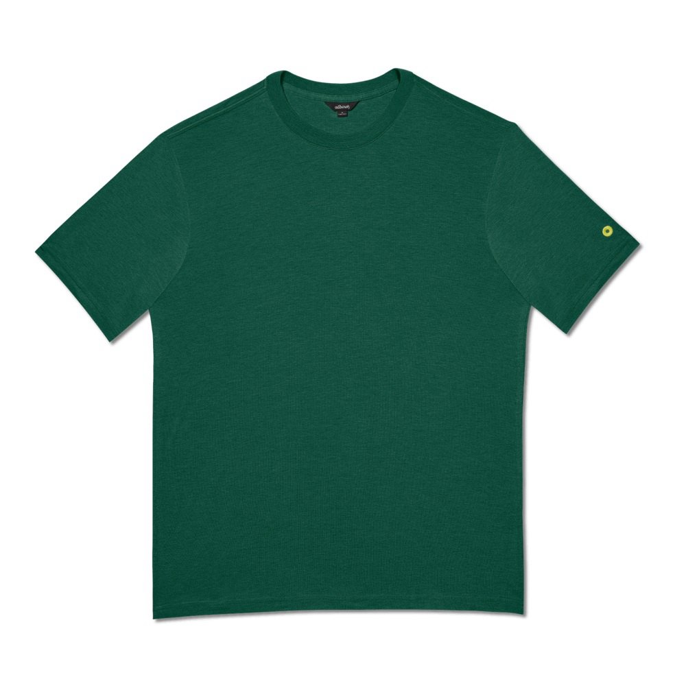 Allbirds Trinoxo? - Tee Shirt Vert Homme | EYN-39008042