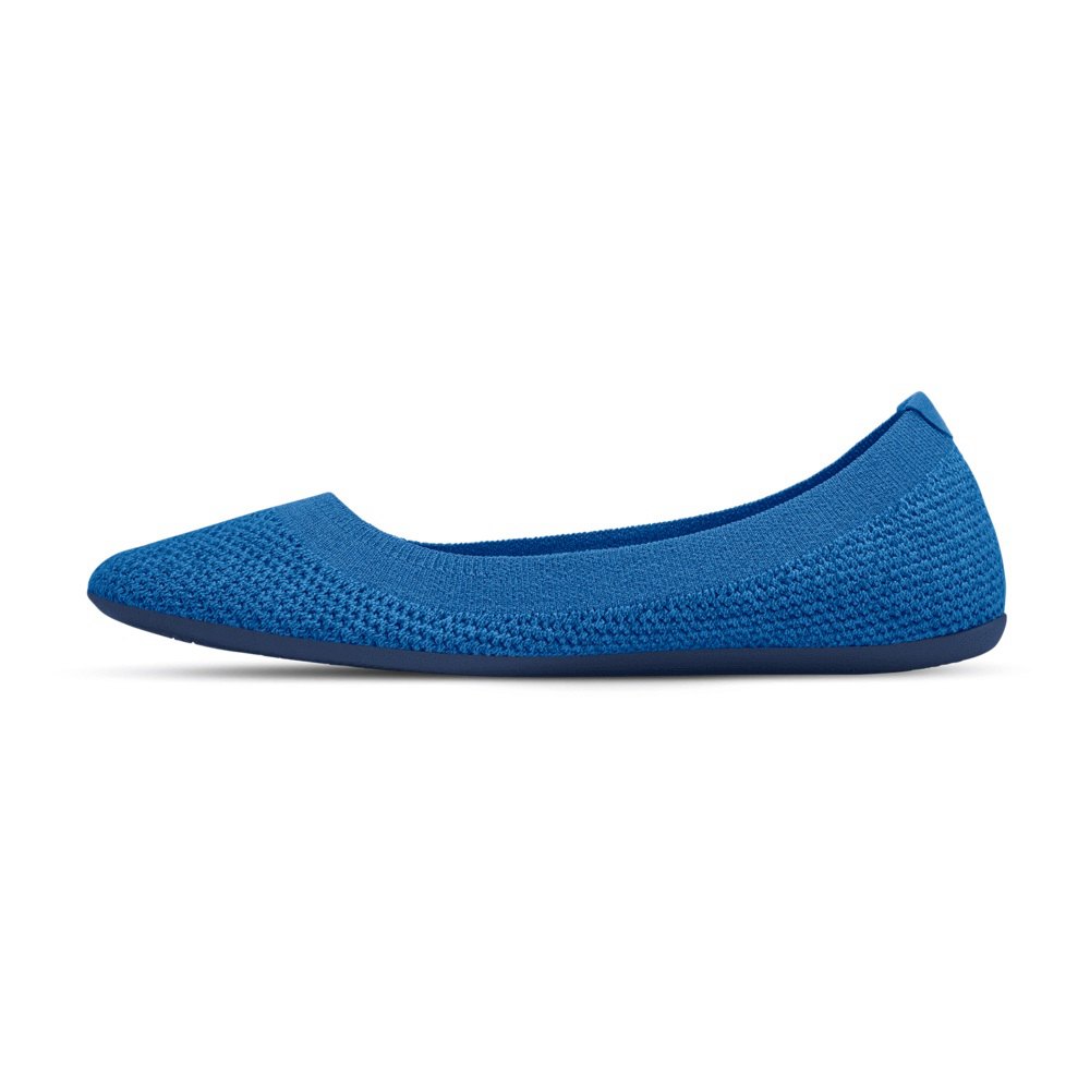 Allbirds Tree Breezers - Chaussures Plates Bleu Femme | JCU-90919163